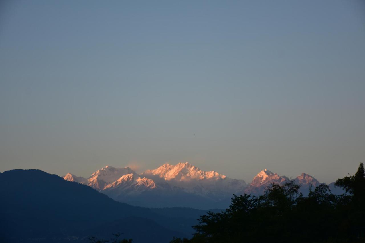 Singtom Tea Estate & Resort Darjeeling  Buitenkant foto