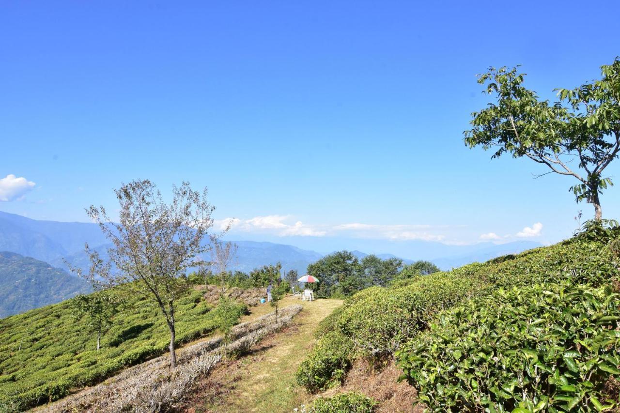 Singtom Tea Estate & Resort Darjeeling  Buitenkant foto