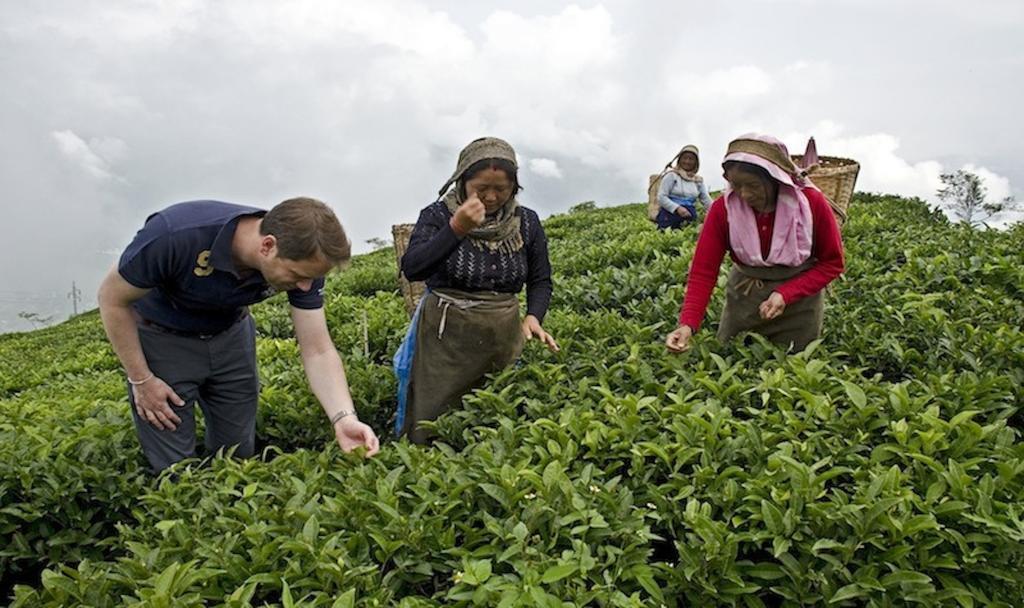Singtom Tea Estate & Resort Darjeeling  Buitenkant foto